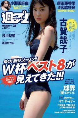 风声电视剧在线观看免费版